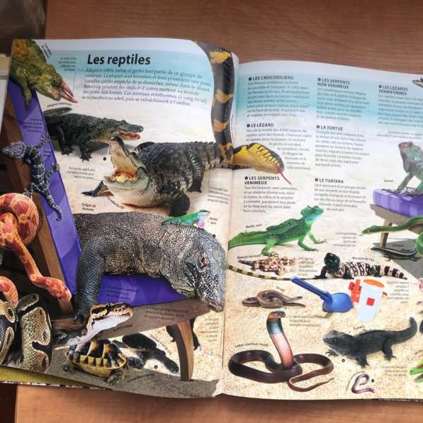 Книга на французском Oh! Les animaux! в Москве фото 5