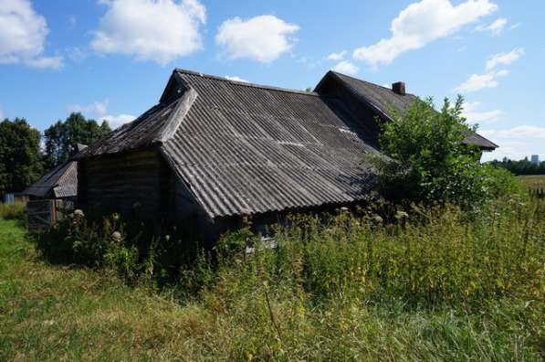 Бревенчатый дом в тихой деревне, рядом с рекой и лесом в Мышкине фото 18