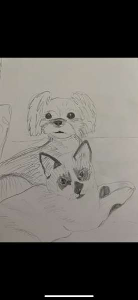 Рисунок вашего питомца