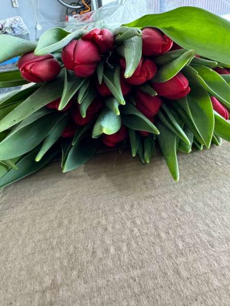 Красивые тюльпаны в Перми фото 4