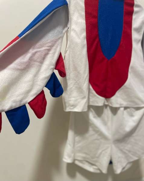 Костюм петушка 104-110 в Видном фото 4