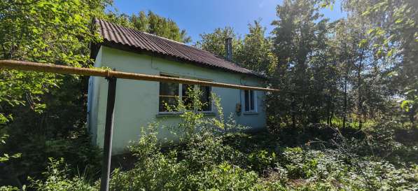 Продам дом в с. Измалково