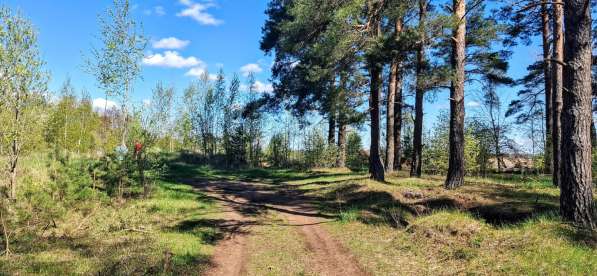 Участок Коммерческого назначения рядом с г. Остров в Пскове фото 4