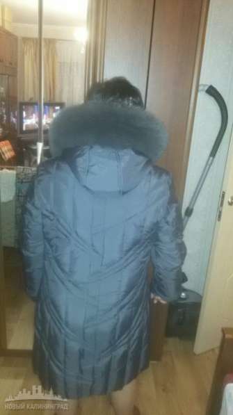 пальто в Калининграде