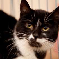 Робкая Тамара ищет любящую семью, в Москве