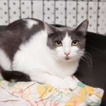 Ласковая Ксюшенька ищет верного друга, в Москве