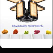 Фитолампа, в Тюмени