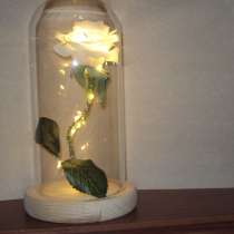 Роза с подсветкой в колбе, в Липецке