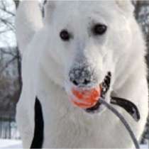 Мячики-лайкеры для собак, в Иркутске