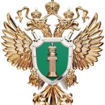 Адвокат по УДО, в Ростове-на-Дону