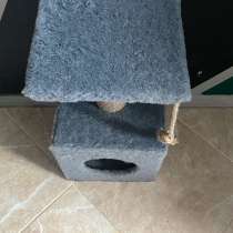 Домик для котят, в Пушкино