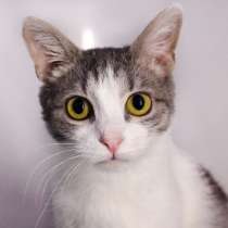 Забавная Дульсинея мечтает ухать домой, в Москве