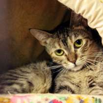 Разборчивая Эрика настроена на блестящее будущее, в Москве