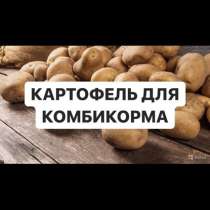 Картофель для комбикорма, в Иркутске