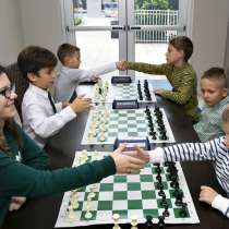 Bortniks School of Chess. Новая школа шахмат в Майами, в г.Hallandale Beach