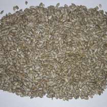 Ядро семечки подсолнечника Первый сорт (четверть половинки), в г.Одесса