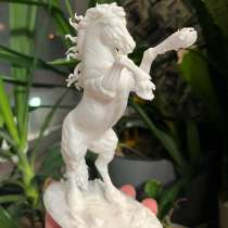 Лошадь, в Волгограде