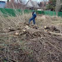Расчистка участков, в Краснодаре