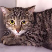 Наблюдательная Дашу ждёт человека с чуткой душой, в Москве