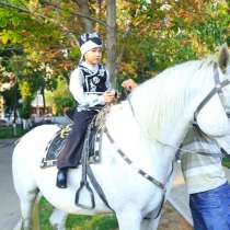 белый конь, в г.Алматы