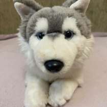 Мягкая игрушка собачка Хаски, в Великом Устюге