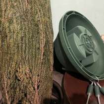 Выгодные товары, в Санкт-Петербурге