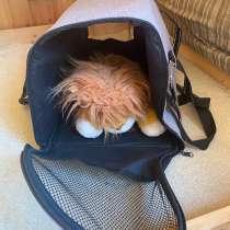 Переноска для котов, в Краснодаре