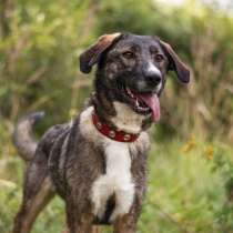 Мадам Брошкина - молодая красотка в дар!, в Москве