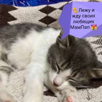 Малыш в добрые руки, в г.Минск