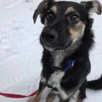 КОЗЯВОЧКА ЖДЕТ СВОЮ СЕМЬЮ, в г.Минск