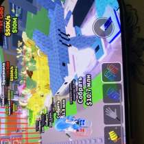 Акула, в Сочи