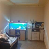 Срочная сдача, в Мирном