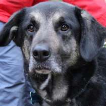 Джек ищет дом!, в Москве