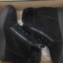 Продам зимние сапоги Фирма Примадонна Италия, в Москве