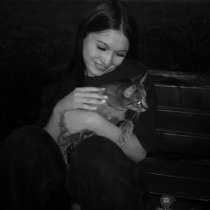 Выгул собак, передержка кошек, в Одинцово