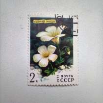 Марка 2к 1977 год СССР Камнеломка Сибирская, в Москве