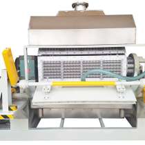 Оборудование для изготовления лотков для яиц, в г.Шанхай