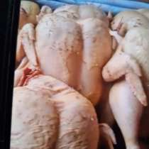 Продам домашнее мясо молодых перепелов, в Москве