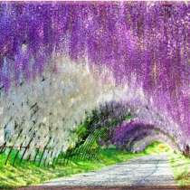 Картины и постеры для дома Магазин-Картин, в Тольятти