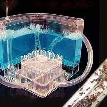 Гелевый Формикарий + Гель и Муравьями в подарок, в Брянске