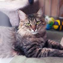 Юная Сандра ждёт своего человека, в Москве