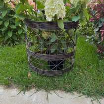 Кустодержатель, в Санкт-Петербурге