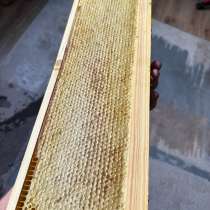 Свежий мед в сотах, в Бузулуке