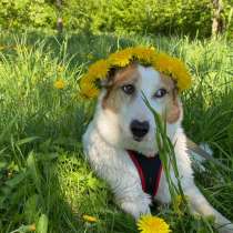 Пропала ?, в Москве