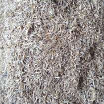 Семена газонной травы, в Сургуте