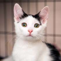 Веселый Дэлавер готов осветить самый обычный день, в Москве