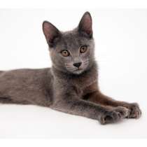 Нежная Аленка мечтает стать частью новой семьи, в Москве