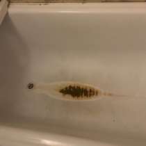 Ванна, в Санкт-Петербурге